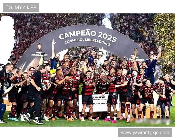 南美足球迎来新纪元，年轻球员崛起助力战术革命持续提升