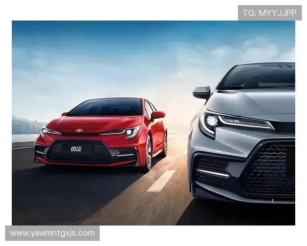 狼堡数据分析揭示：新兴市场对汽车行业未来发展的深远影响