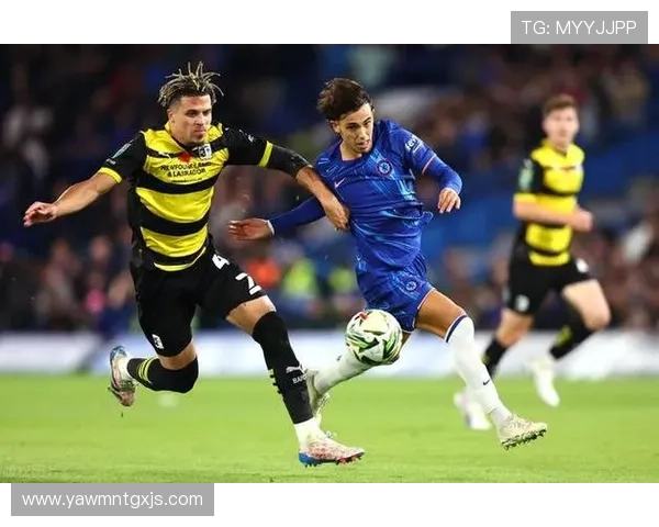 英超布莱顿切尔西 英超布莱顿切尔西