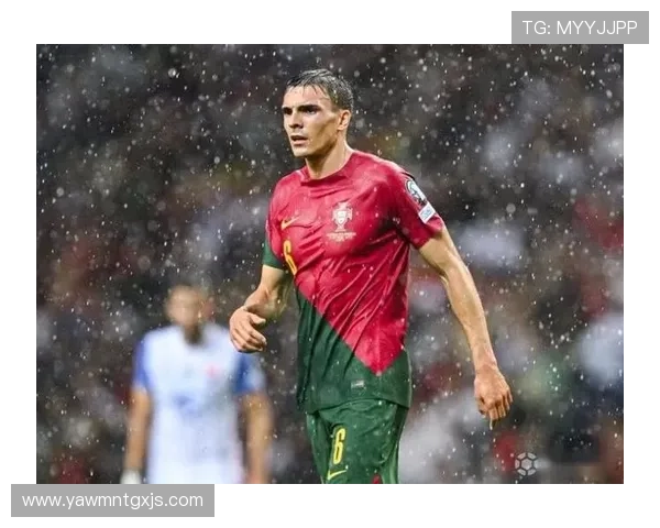 帕利尼亚巅峰期荣誉解析：葡萄牙体育联赛冠军主力